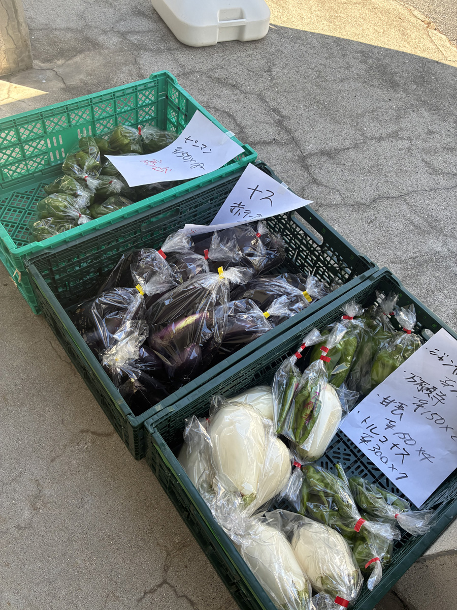 真夏の野菜直売開く！